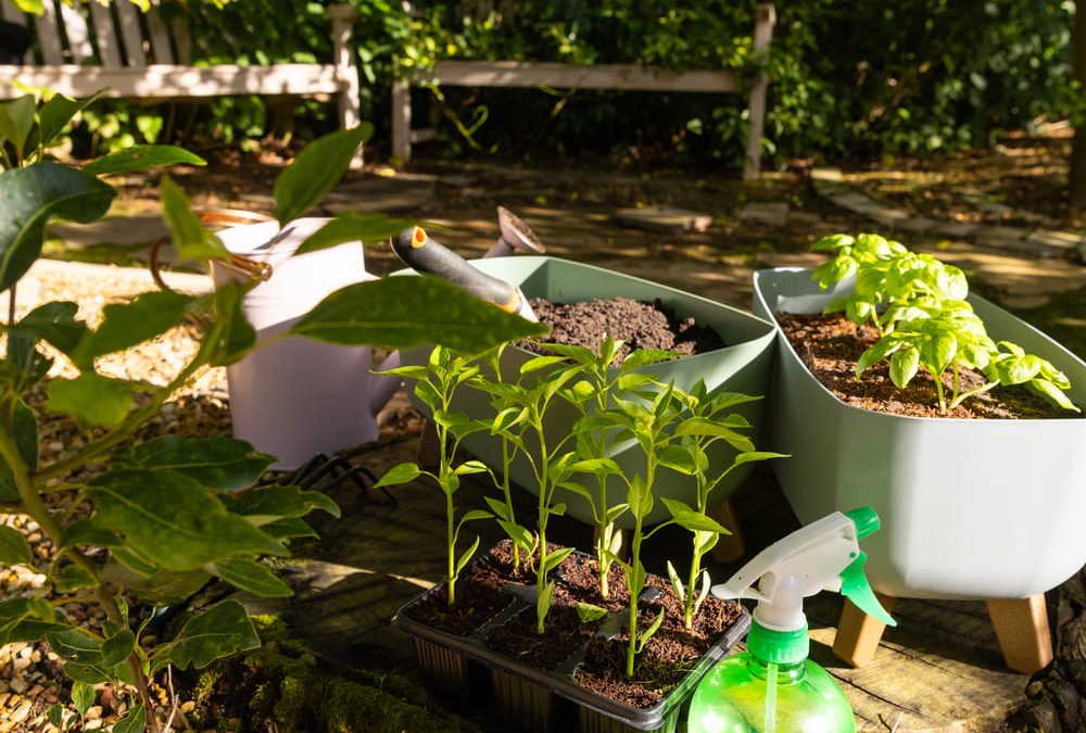 Consejos para Mantener tu Jardín en Óptimas Condiciones Durante Todo el Año en la Costa del Maresme