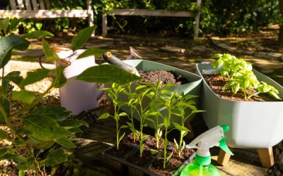 Consejos para Mantener tu Jardín en Óptimas Condiciones Durante Todo el Año en la Costa del Maresme