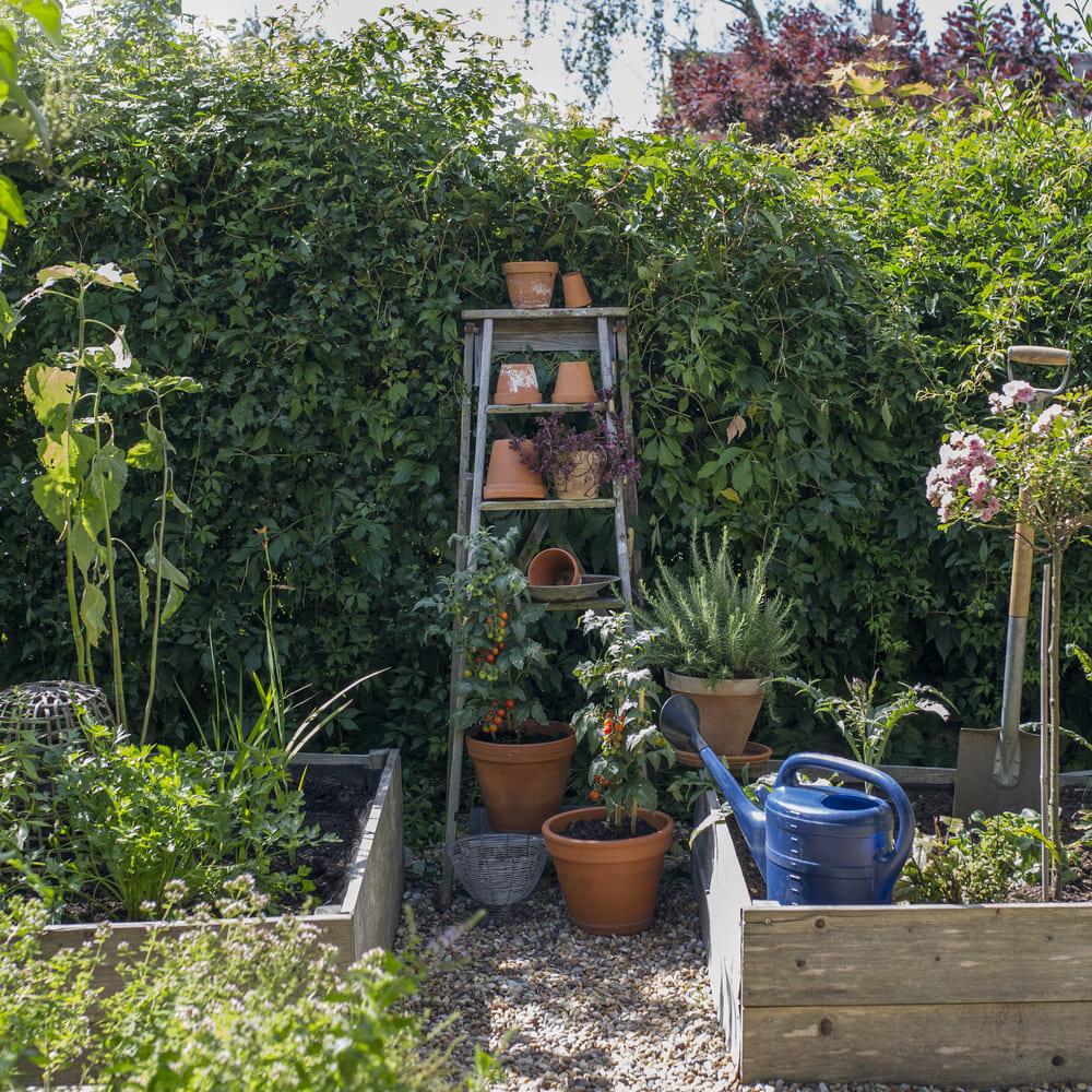 paisajismo en Premiá de Mar